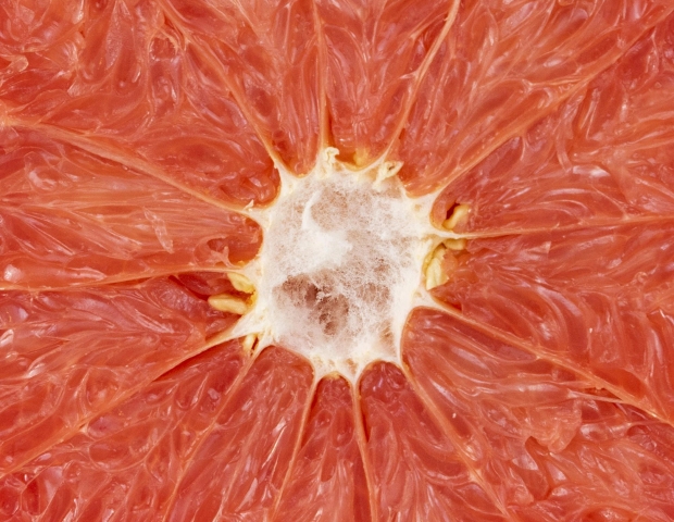 หลักการทำงานที่ช่วยรีแพร์ช่องคลอดแบบไม่ผ่าตัด